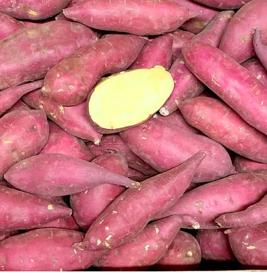 Japanese Yam- Small Size 10lbs