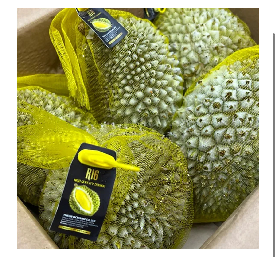 Durian- Ri-6 frozen 1ct