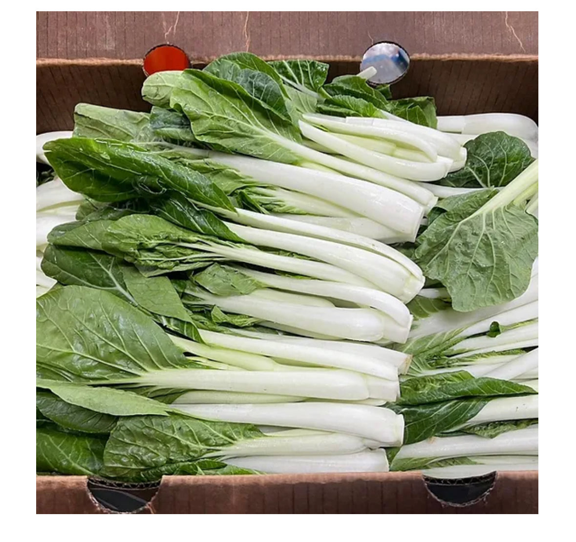 Long Bok Choy 3磅