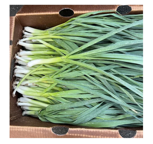 Chinese Leek